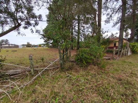 Terreno no Stio Santa Cruz