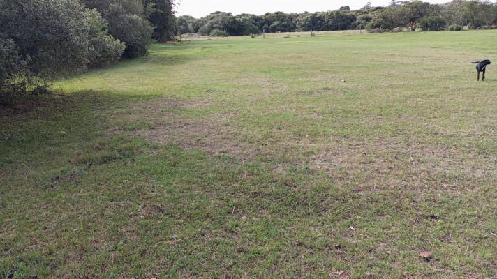 rea Rural (6,5 hectares)