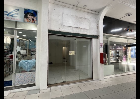 Sala Comercial -  Galeria Papalo